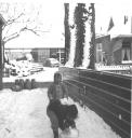 winter-1957.jpg